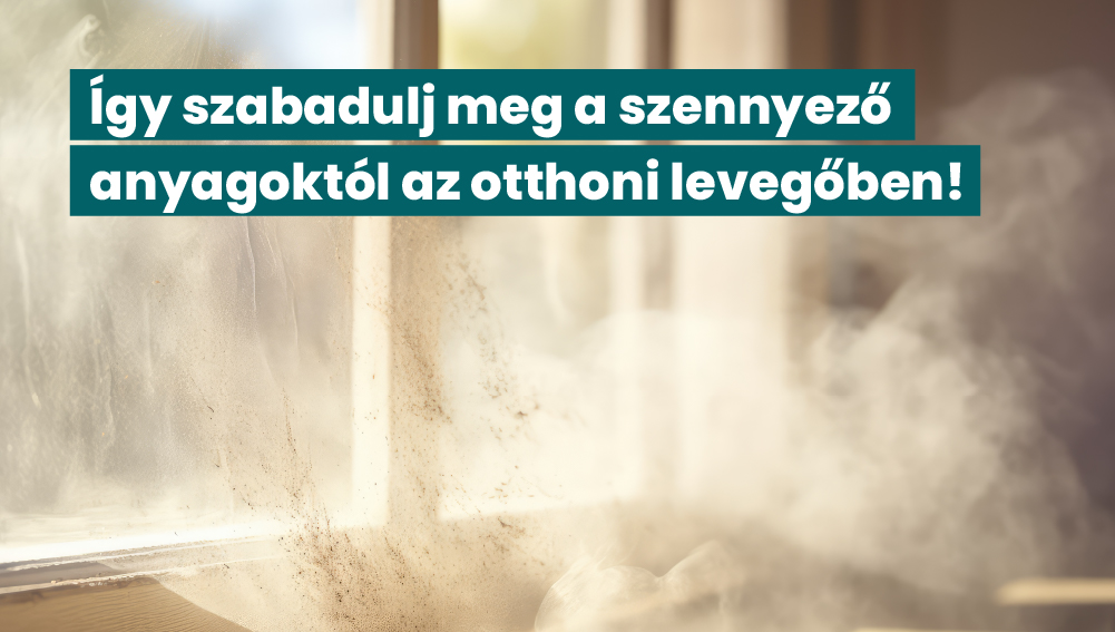 Igy_szabadulj_meg_a_szennyezoanyagoktol_az_otthoni_levegoben