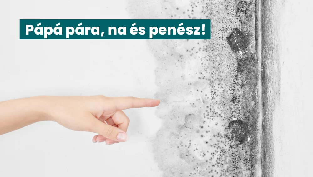 Pára és penész a lakásban? Végleg búcsút inthetsz neki!