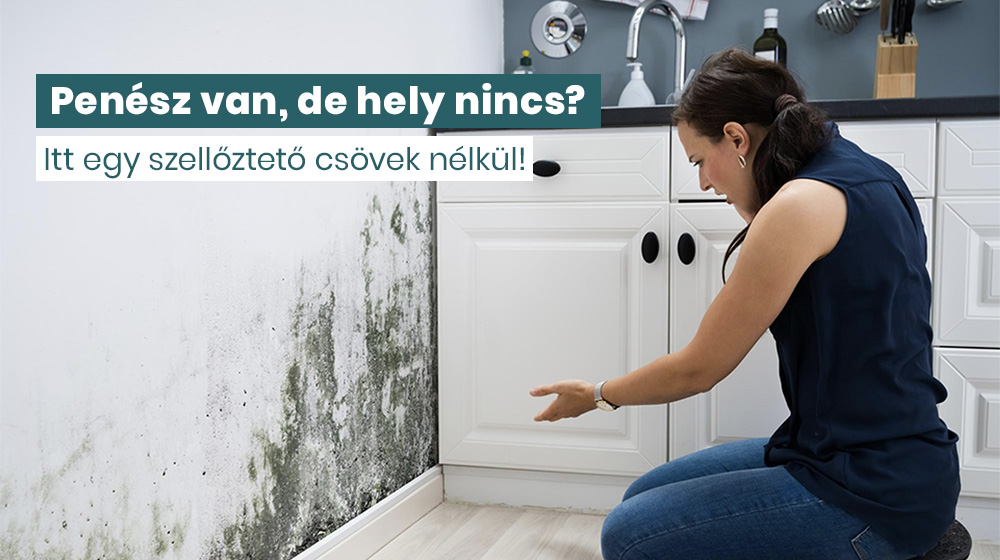 Penész van, de hely nincs - Ventalp Hővisszanyerős Szellőzés